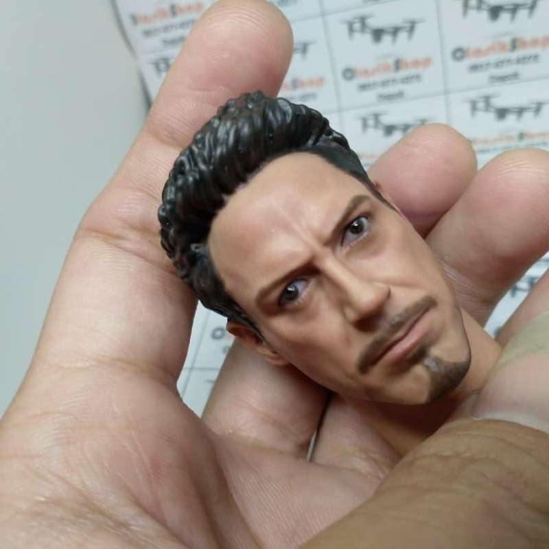 Jual 1 6 Scale Tony Stark Head Iron Man Head Sculpt Bisa Untuk Hot Toys Di Seller CLASIKSHOP