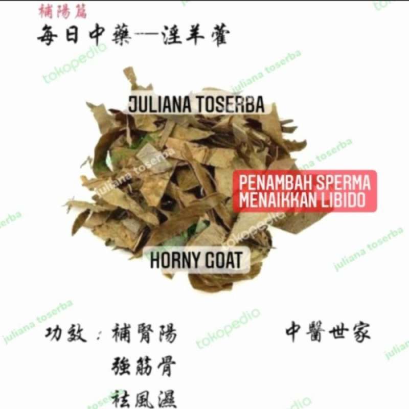 Promo HORNY GOAT WEED EPIMEDIUM HEALTH BOOSTER 100 KAPSUL PACK AYUP