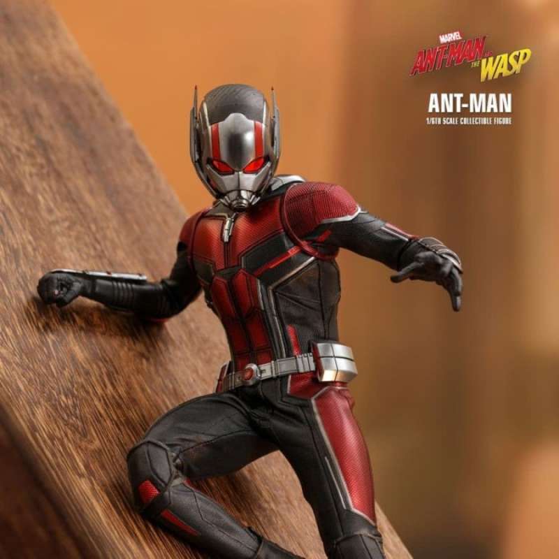 Promo HOT TOYS HT MMS MARVEL ANT MAN AND THE WASP SCALE COLLECTIBLE Diskon Di Seller
