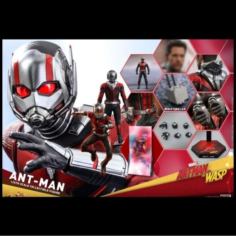 Promo Hot Toys Ht Mms Marvel Ant Man And The Wasp Scale Collectible Diskon Di Seller
