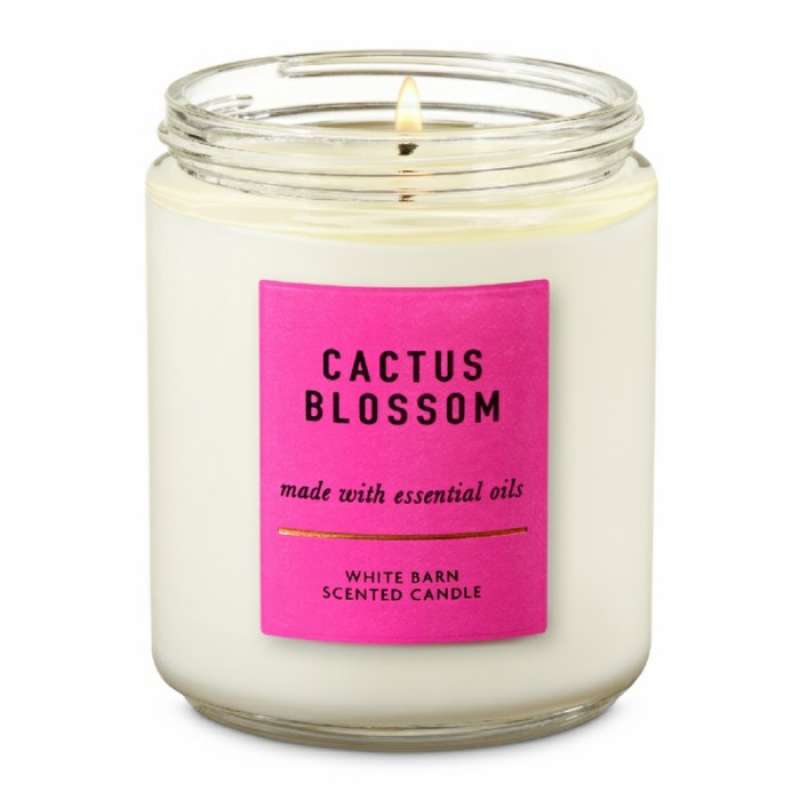 Promo Bath Body Works Bbw Single Wick Candle Cactus Blossom
