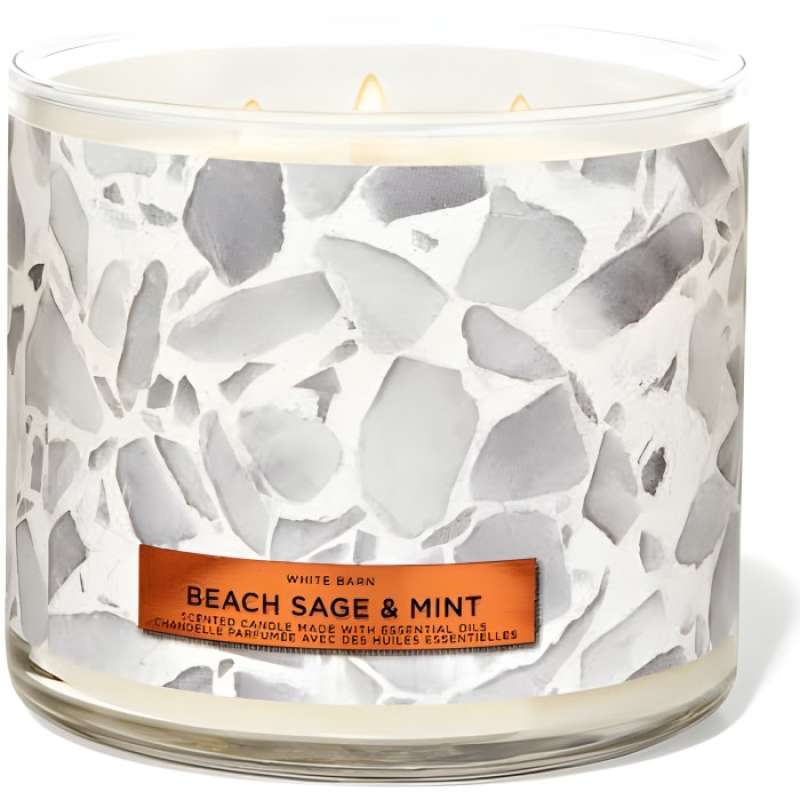 Promo Bath And Body Works Bbw Beach Sage Mint Wick Candle G