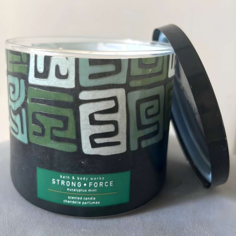 Promo Bath Body Works Bbw Eucalyptus Mint Wick Candle Terlaris