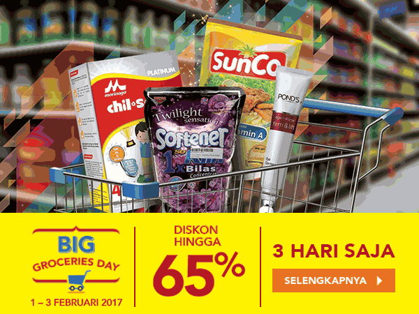Big Groceries Day