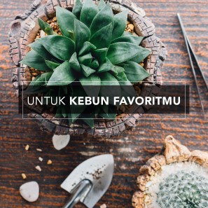 Untuk Kebun Favoritmu