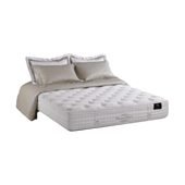King Koil Kasur Springbed Chiropractor Endorsed