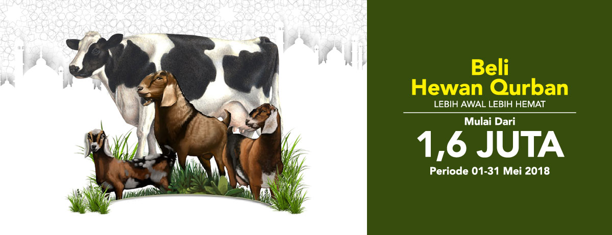 600 Gambar Hewan Untuk Qurban HD Terbaik