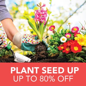 Plant Seed Up up to 80% OFF