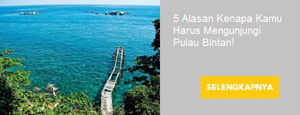 5 Alasan Kenapa Kamu Harus Mengunjungi Pulau Bintan!