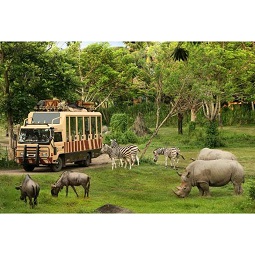  Marsuta Tours Paket Tour Bali Safari dan Visit Marine Park dan Ubud Lengkap Voucher 1 Hari 5–7 pax