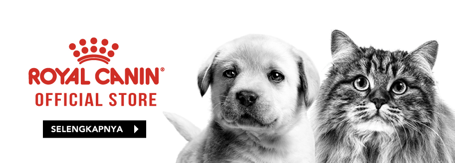 bakulonline: Takaran Makanan Anjing Royal Canin