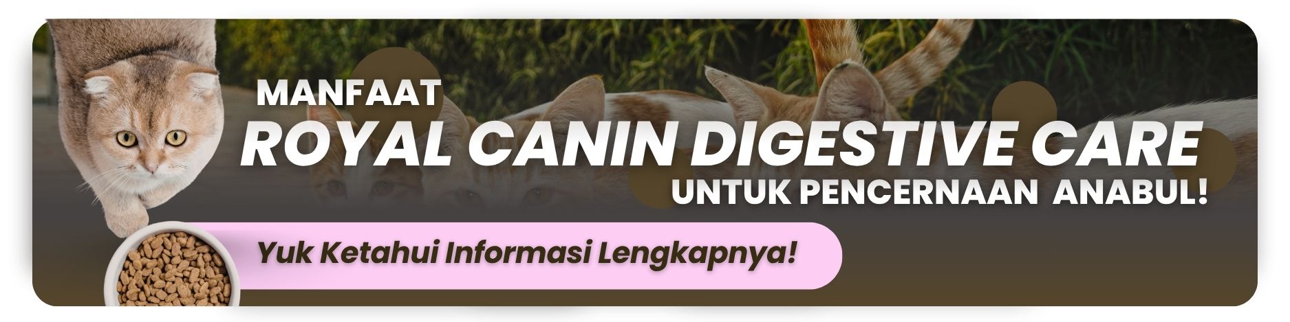 penjelasan lengkap tentang royal canin digestive