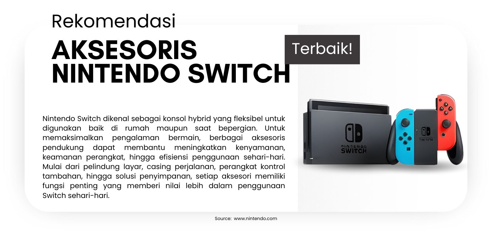 aksesoris nintendo switch