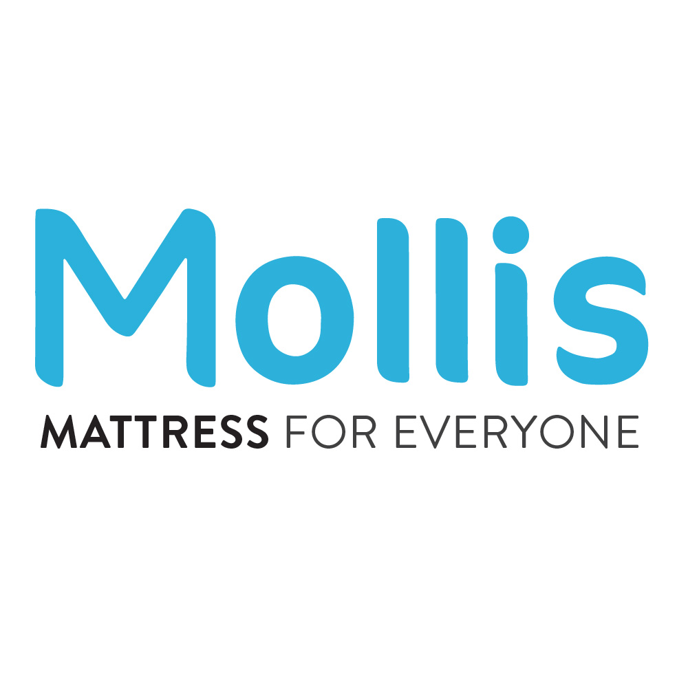 Mollis Smart Foam Pillow Bantal