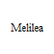 Melilea