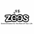 Zees On Internet