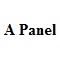 A PANEL