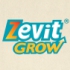Zevit