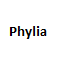 Phylia