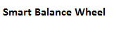 Smart Balance Wheel