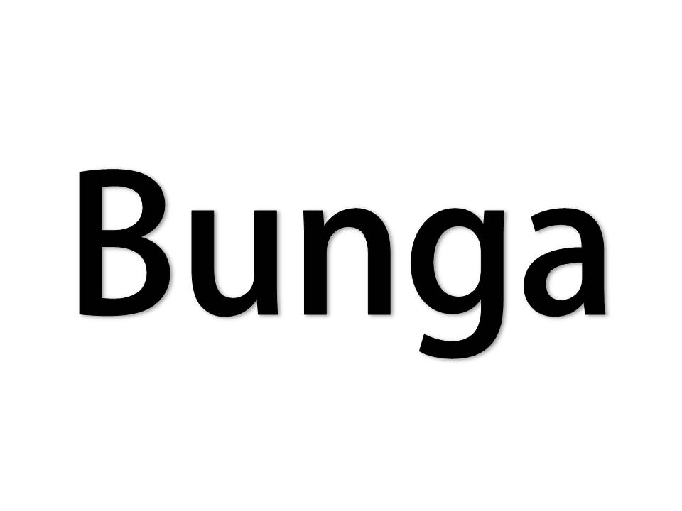 Bunga