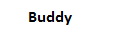 Buddy
