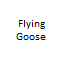 Flying Goose