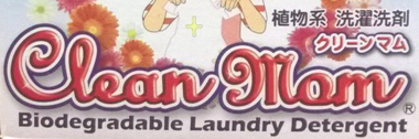 Clean Mom