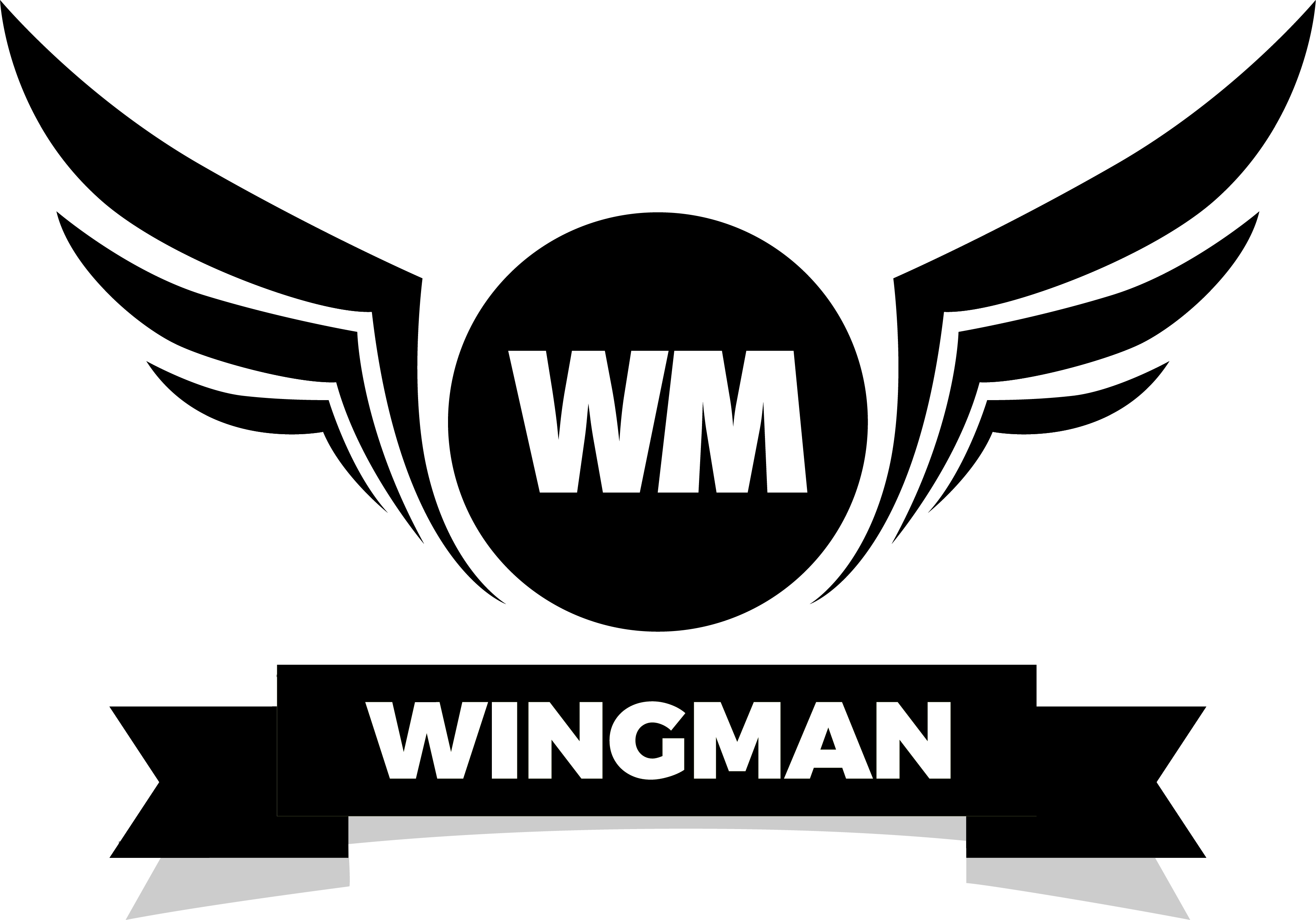 Wingman