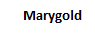 Marygold