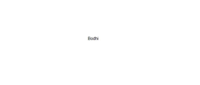 Bodhi