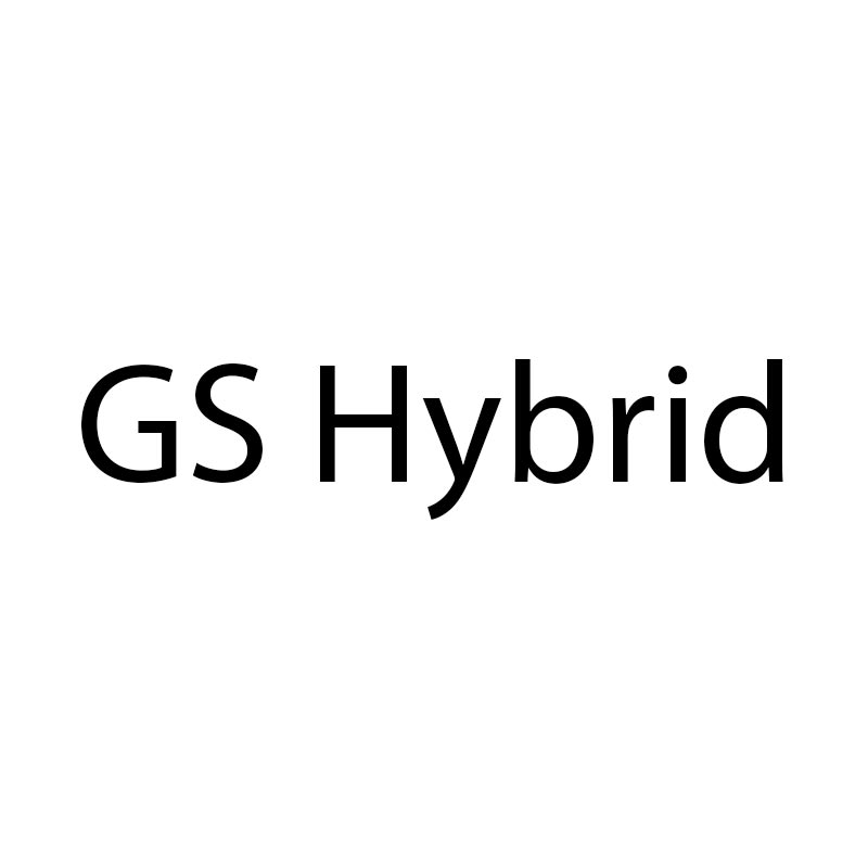 GS Hybrid
