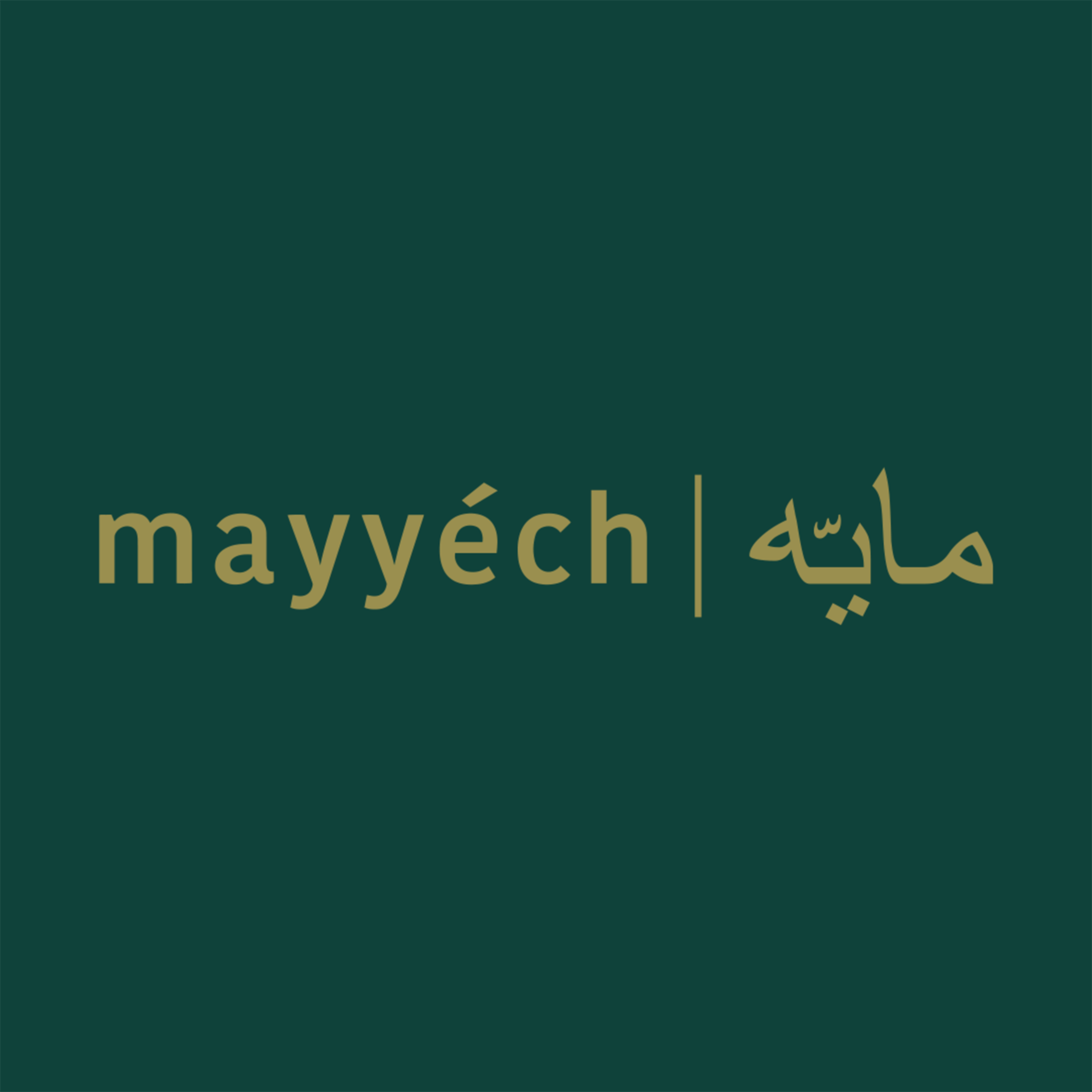 mayyech