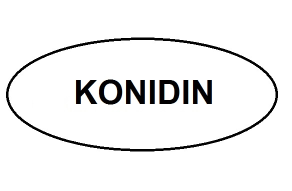 Konidin