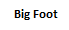 Big Foot
