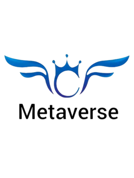 Metaverse