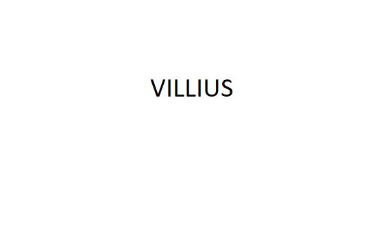 VILLIUS