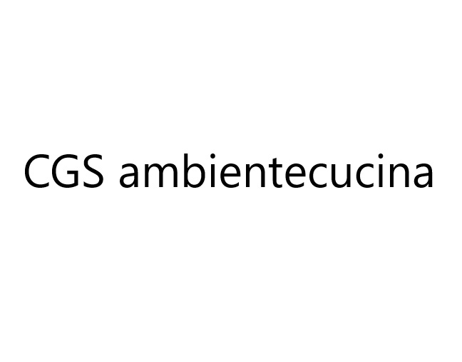 CGS ambientecucina