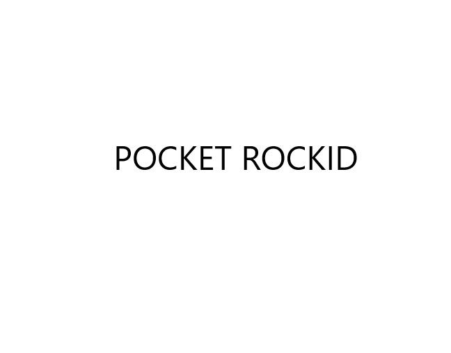 POCKET ROCKID