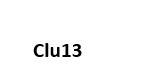 Clu13