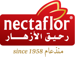 Nectaflor