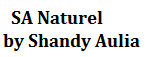 SA Naturel by Shandy Aulia