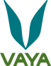 VAYA