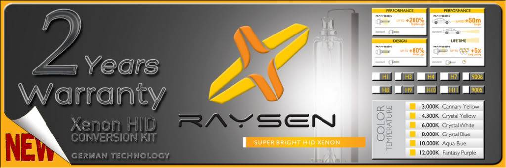 RAYSEN