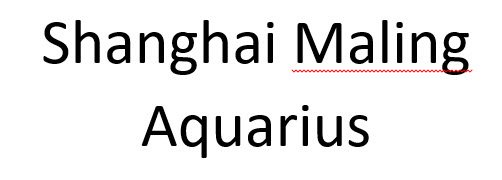 Shanghai Maling Aquarius