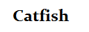 Catfish
