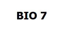 BIO 7
