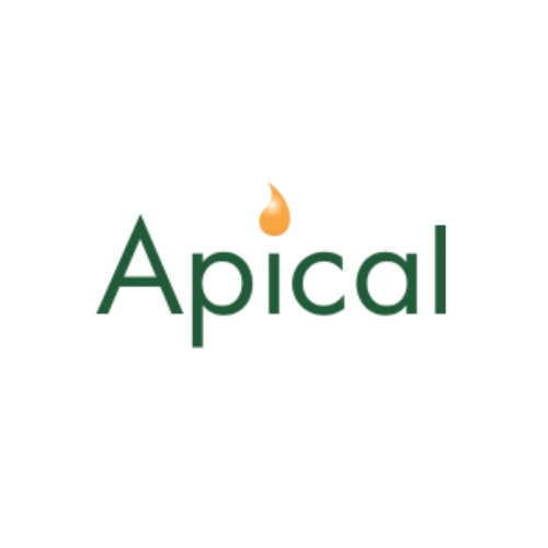Apical