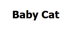 Baby Cat