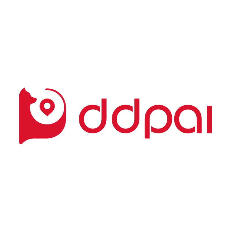 DDPAI